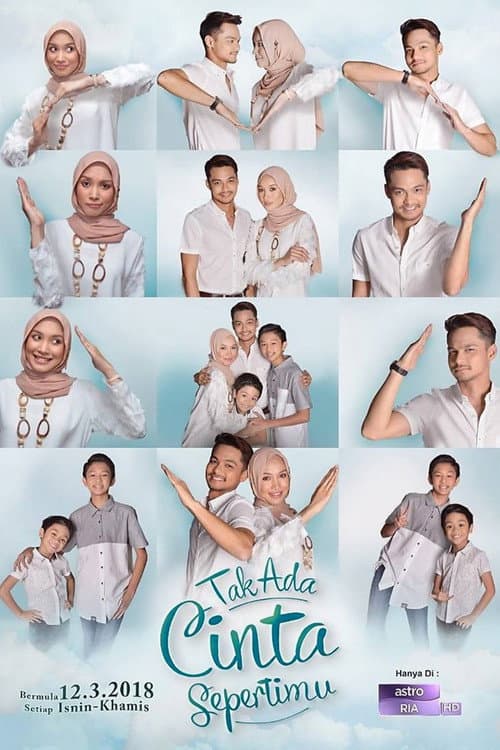 Tak Ada Cinta Sepertimu poster