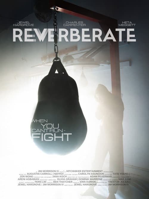 Reverberate poster