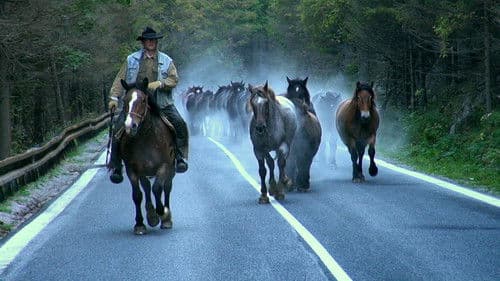 Vo vetre kopýt poster