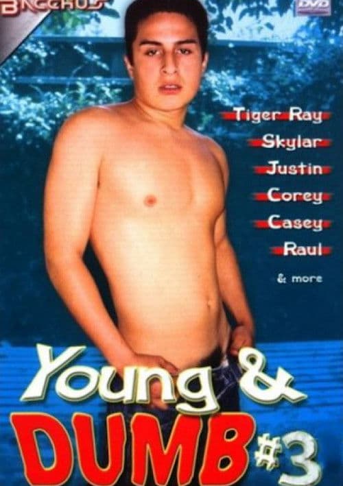 Young & Dumb 3 poster