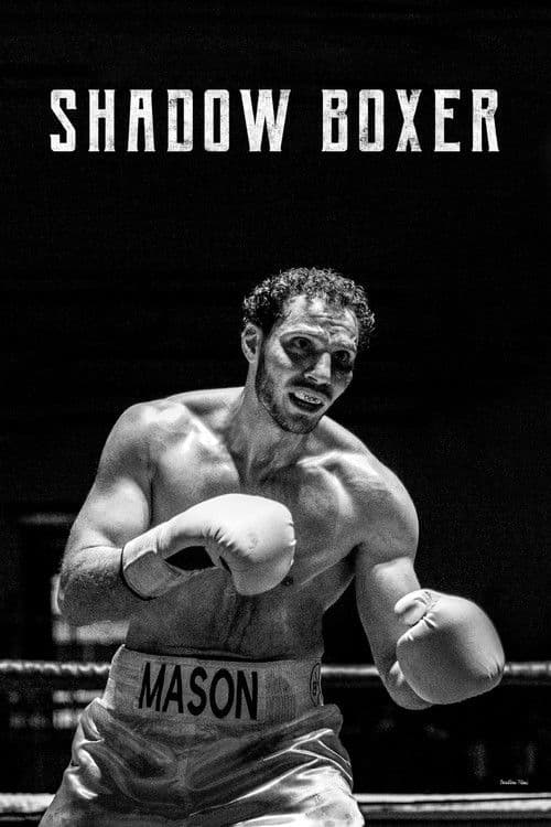 Shadow Boxer poster