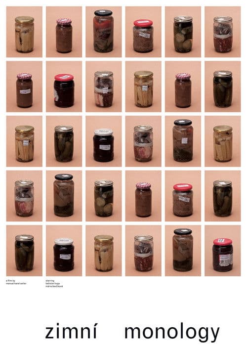 Winter Monologues poster