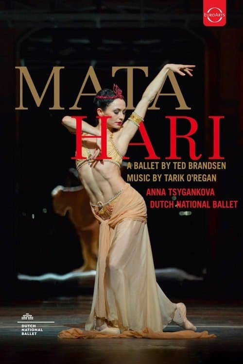 Mata Hari poster