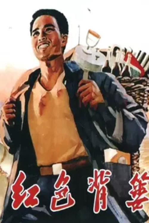 红色背篓 poster