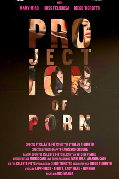 Projection of Porn poster