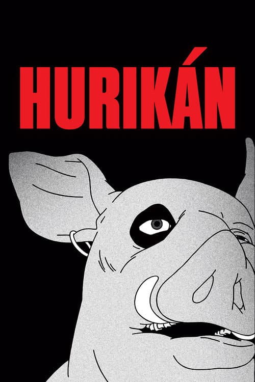 Hurikán poster
