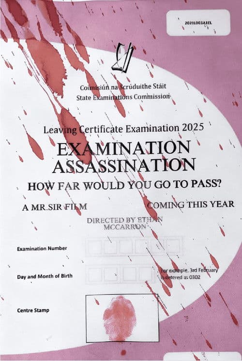 Examination Assassination poster