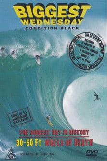 Biggest Wednesday poster