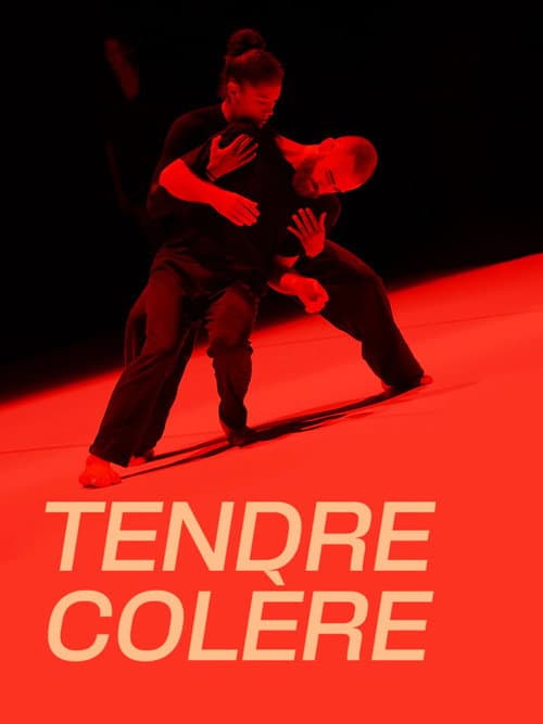 Suresnes cité danses, Tendre colère poster