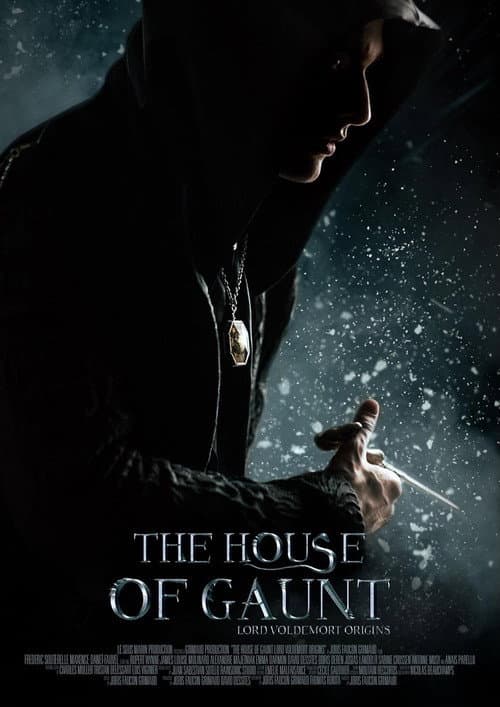 The House of Gaunt poster
