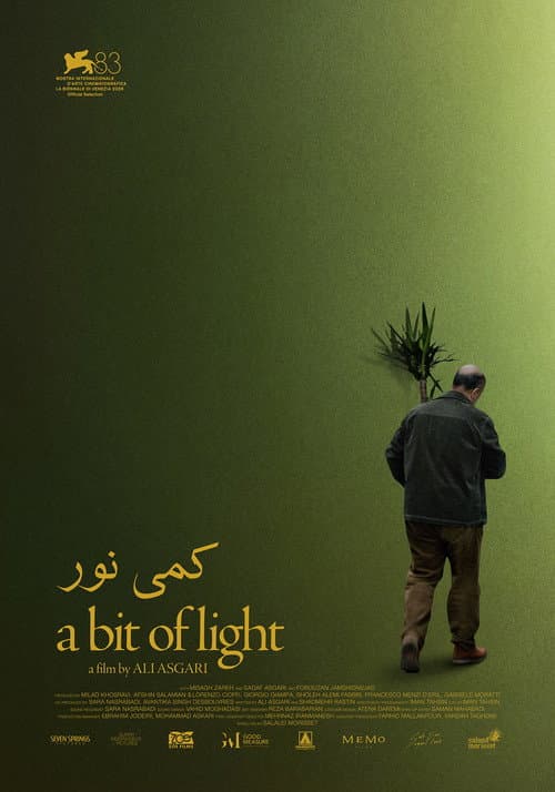 A Bit of Light