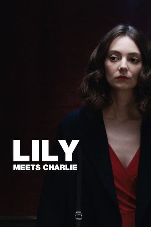 Lily Meets Charlie poster