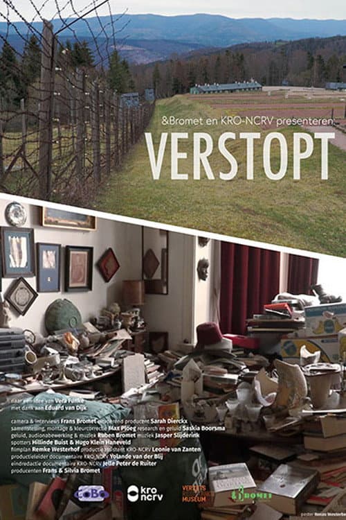 Verstopt poster