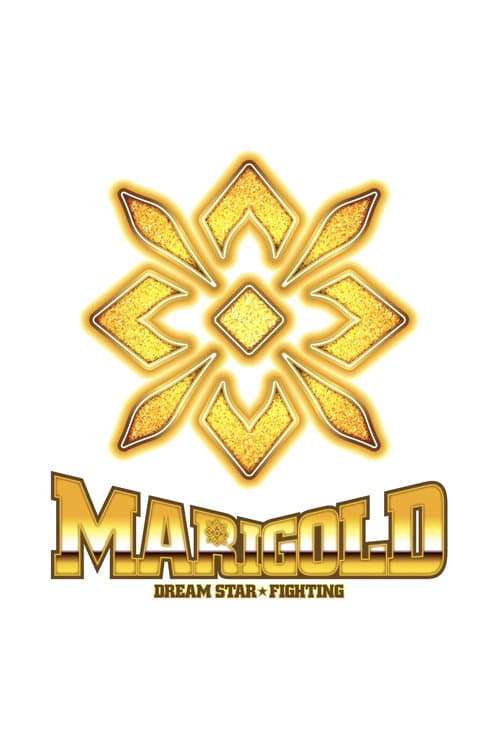 Dream Star★Fighting Marigold poster