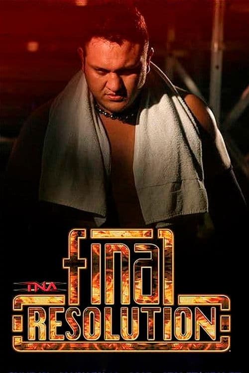 TNA Final Resolution 2007 poster
