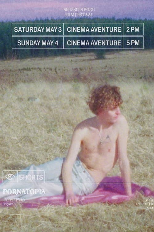 PornAtopia poster