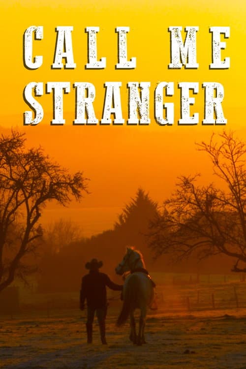 Call Me Stranger poster
