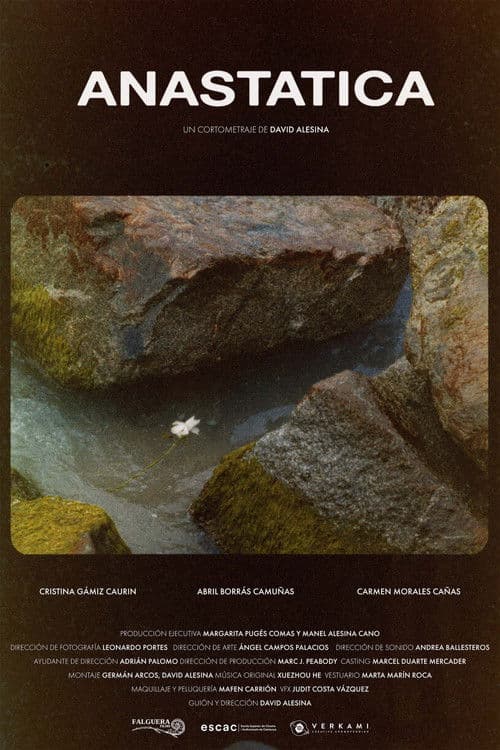 Anastatica poster
