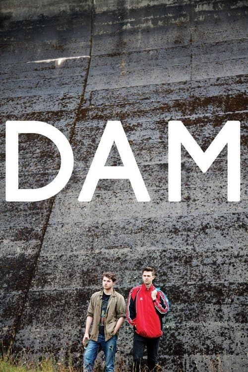 Dam poster