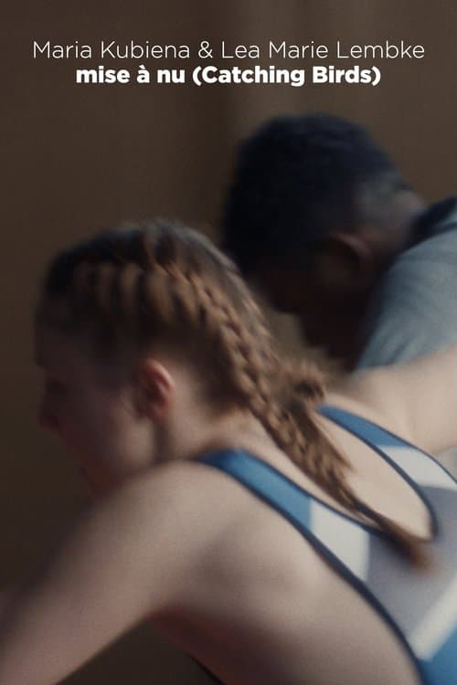 Catching Birds poster