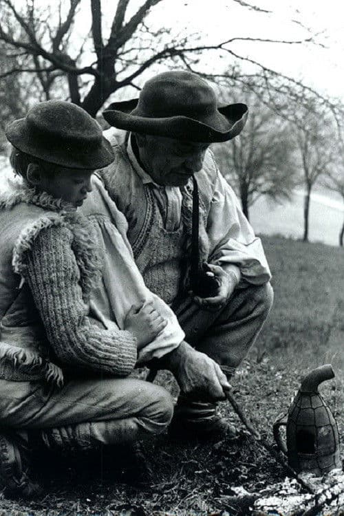 Starý včelár poster