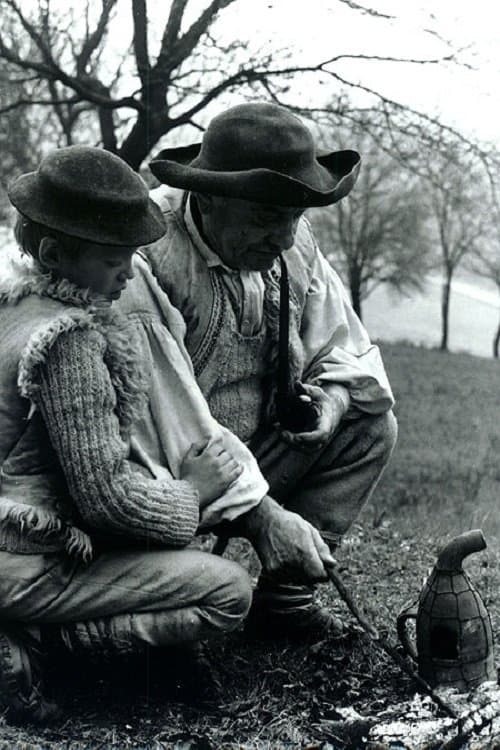 Starý včelár poster