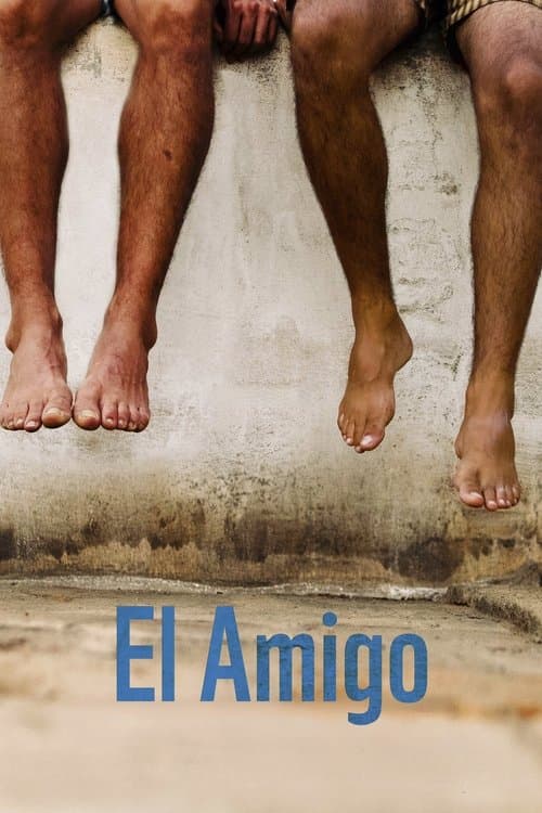 The Good Friend poster