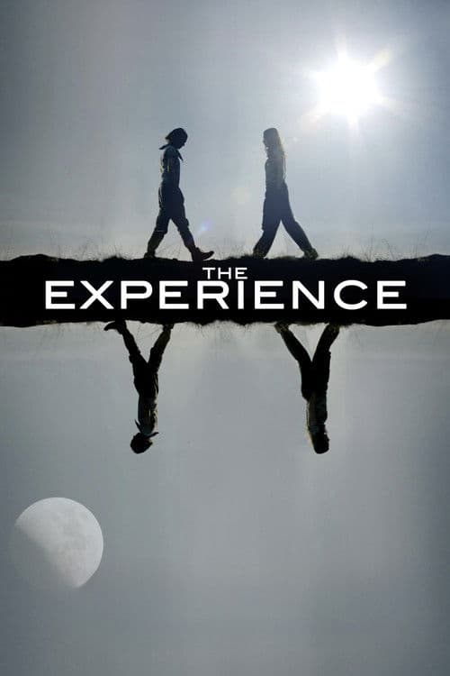 The Experience poster