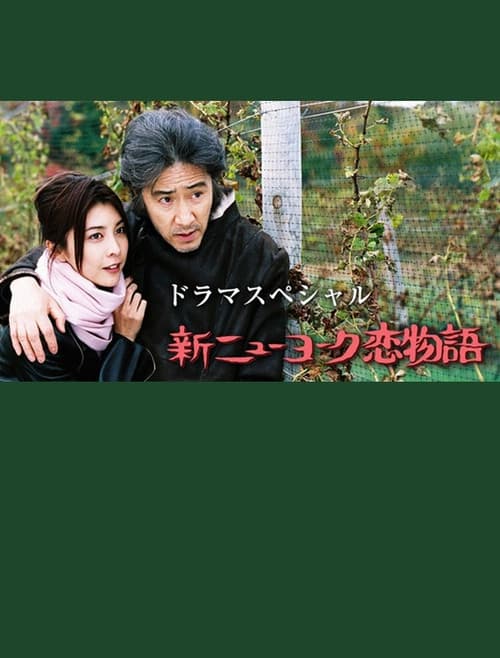 New York Love Story poster