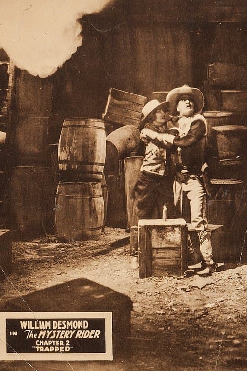 The Mystery Rider poster