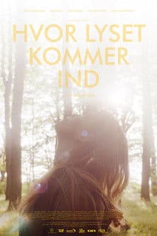 Hvor lyset kommer ind poster