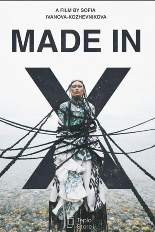 MADE IN X poster