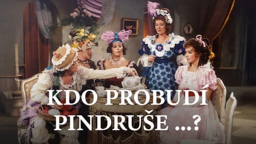 Kdo probudí Pindruše...? poster