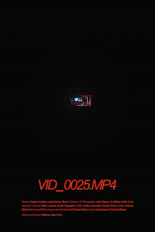 VID_0025.MP4 poster