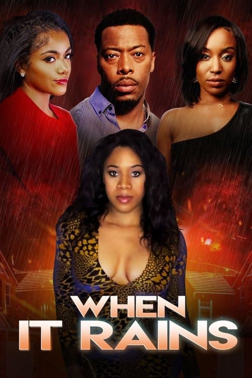 When It Rains poster