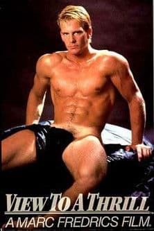 View To A Thrill poster