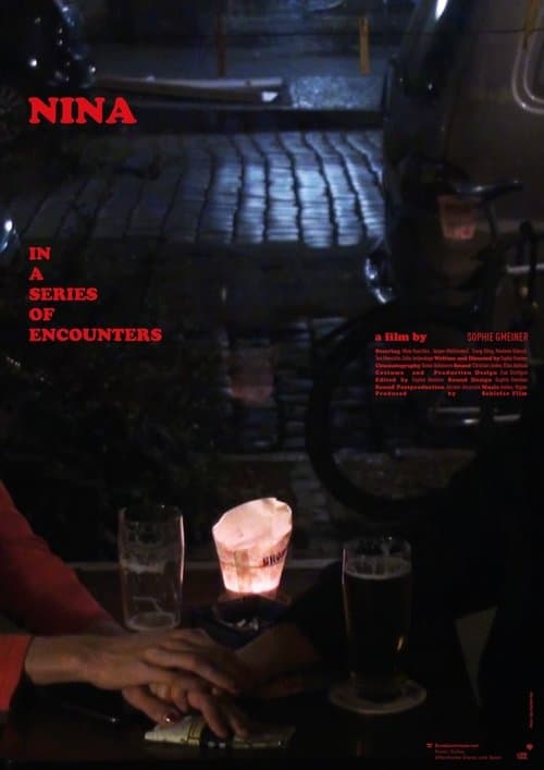 Nina in a Series of Encounters poster