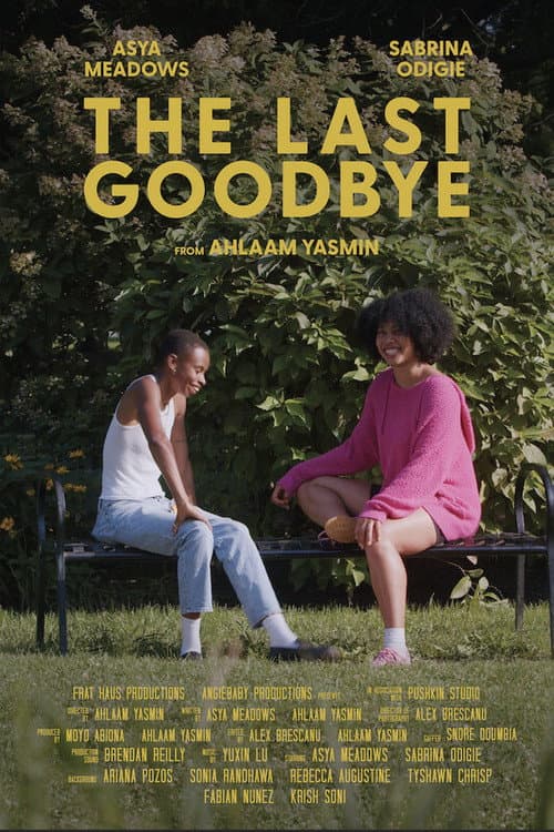 The Last Goodbye poster