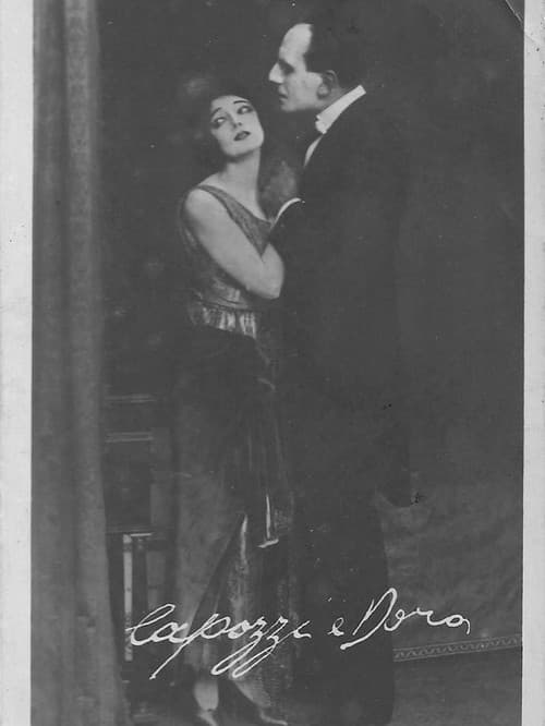 The Mysterious Princess poster