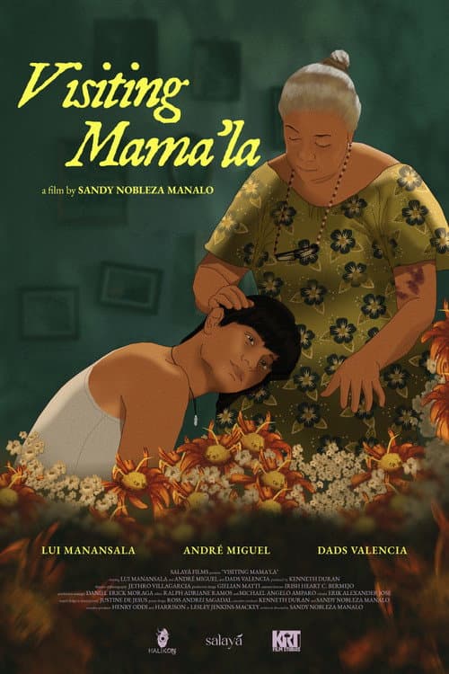Visiting Mama'la poster