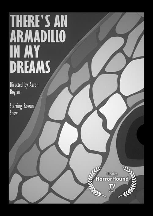 There's An Armadillo In My Dreams poster