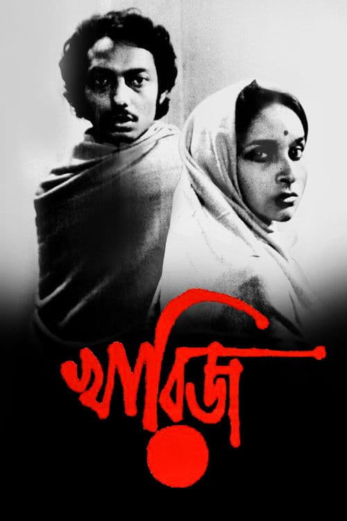 The Case Is Closed poster