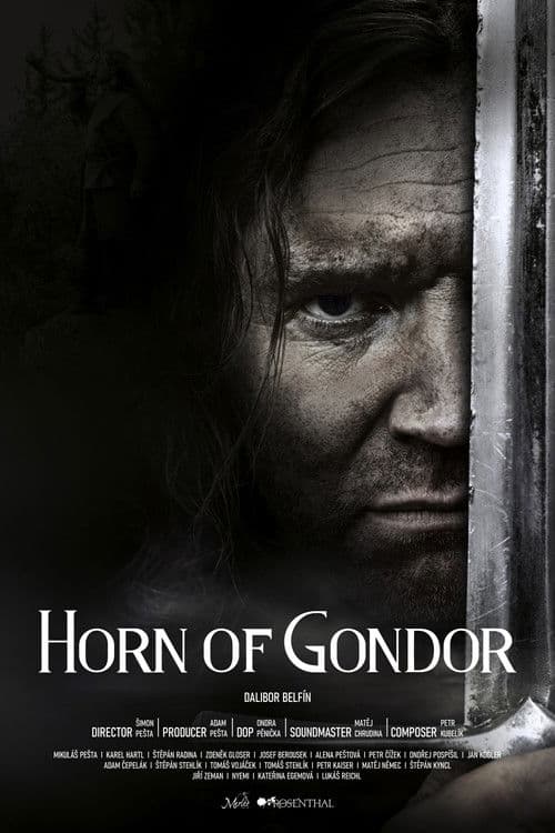 Horn of Gondor poster