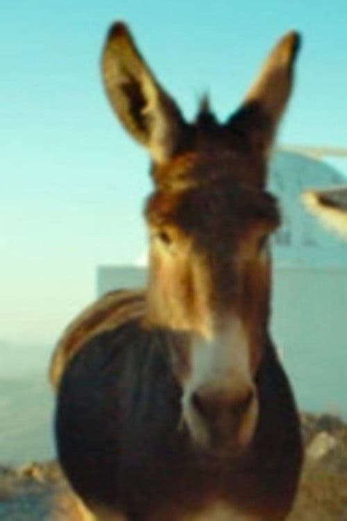 Ruperto profile photo