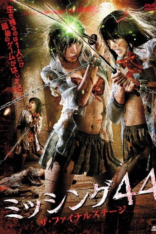 Missing 44 The Final Stage poster