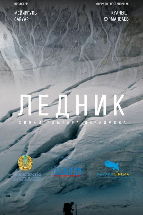 Voice of the glacier poster