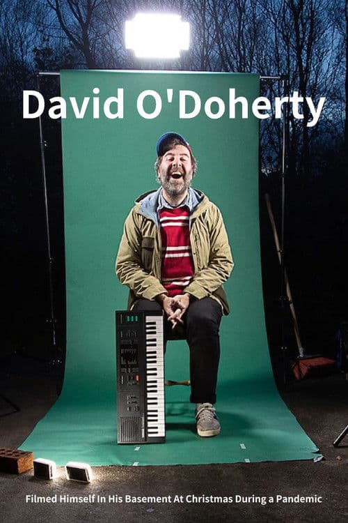David O'Doherty Filmed Himself In His Basement At Christmas During a Pandemic poster