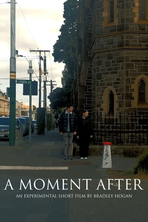 A Moment After poster