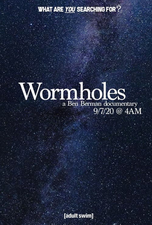 Wormholes poster