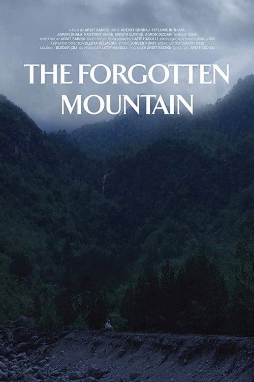 The Forgotten Mountain poster